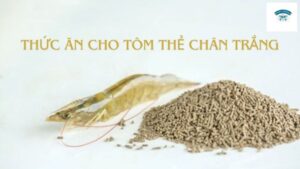 Thức Ăn Cho Tôm Thẻ Chân Trắng